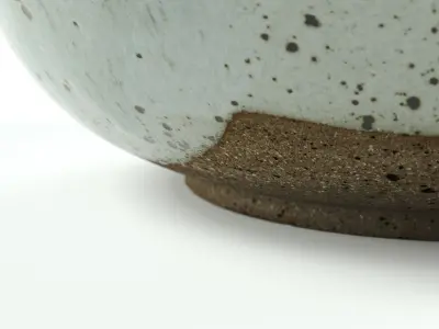 polypasta - WK Keramik fruit bowl 01 with pear 01 3D model