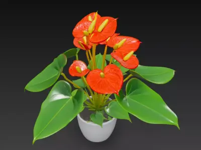 Anthurium Plant Pot 3D model