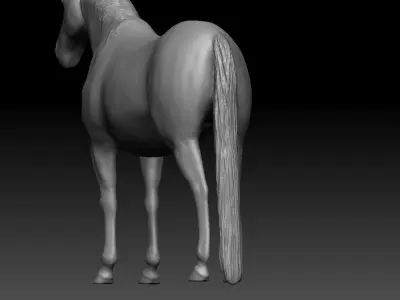 Horse detailed zbrush sculpture 3D model