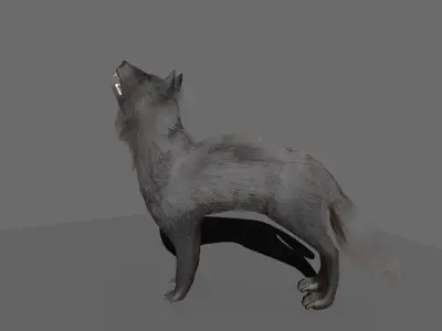 wolf rigged Low-poly 3D model