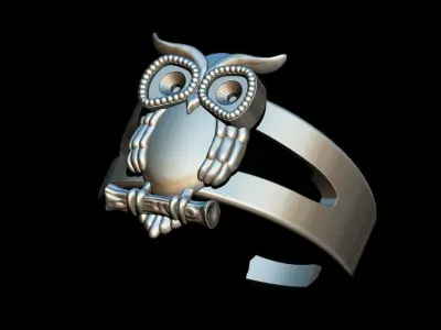 Owl  Ring 3D print model