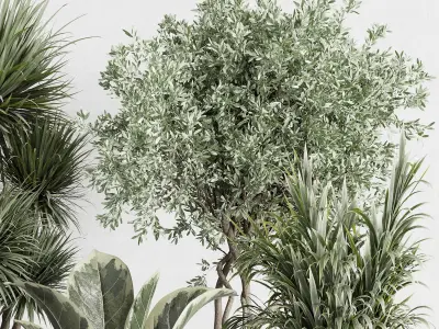 indoor plant set 414 plant ficus elastica tree palm bush Low-poly 3D model