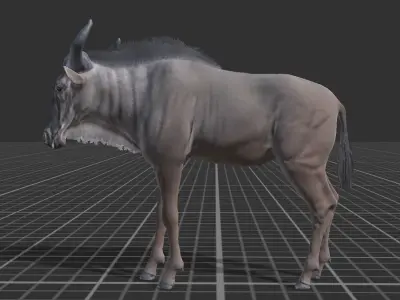 Wildebeest Low-poly 3D model