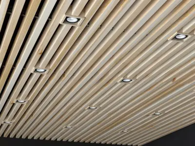 Wooden ceiling 2 3D model
