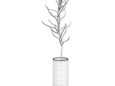 Plant in Glass Pot 3D model
