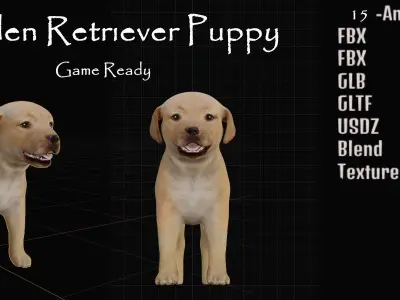 Golden Retriever Puppy Dog Low-poly 3D model