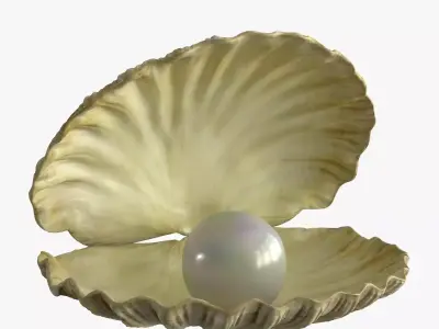 Sea Shell With Pearl Low-poly 3D model