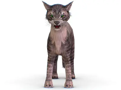 LowPoly Monster Cat Low-poly 3D model