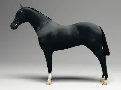 Black Horse 3D model
