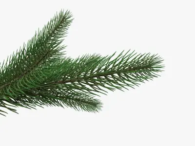 Fir tree branch 02 3D model