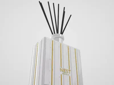 NEST New York Grapefruit Luxury Reed Diffuser Low-poly 3D model