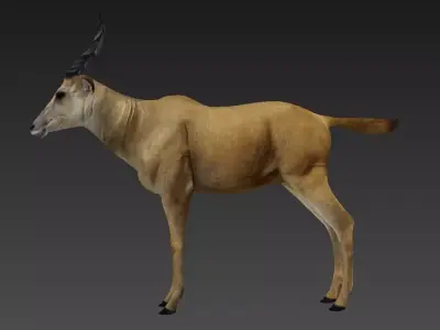 antelope Low-poly 3D model