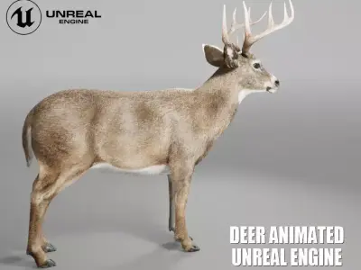 Deer Animated FUR UNREAL project - plus maya base rig 3D model