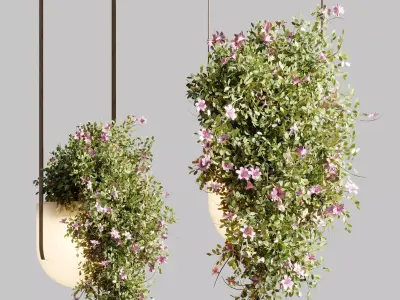 Hanging Flower Plant and Pot Lamp - Houseplant 685 3D model