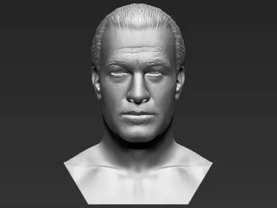 Steven Seagal bust 3D printing ready stl obj formats 3D print model