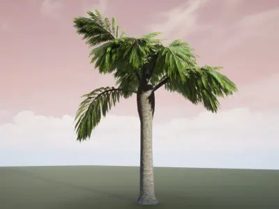Palm Tree 3D model