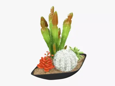 Plant composition decorative 01 3D model