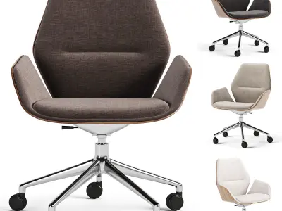Ginkgo Conference Armchair 3D model