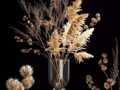 Bouquet of dried flowers with thorn and cardaderia branches 283 3D model