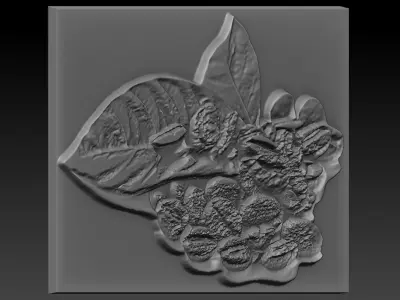 Coffee Beans 3D print model