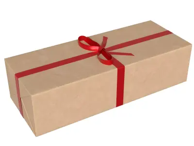 Wrapped Gift Box PBR 08 3D model