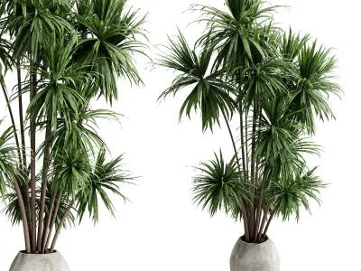 palm branch in a concrete pot - set indoor plant 619  3D model