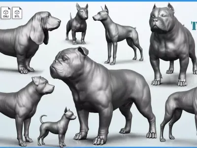 Dog breed collection  8 types of dogs 3D model