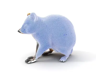 Realistic Raccoon Model Pack Low-poly 3D model