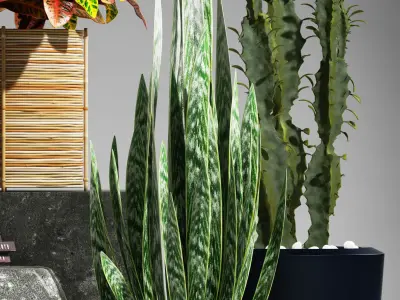 Plants 104 3D model