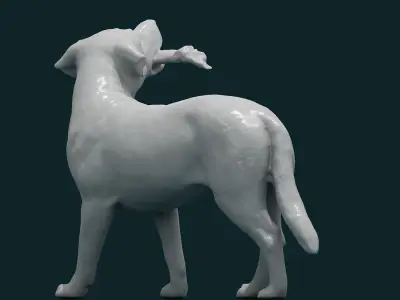 3D Dog Model 3D model