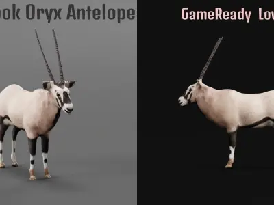 Gemsbok Oryx Antelope Low-poly 3D model