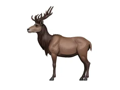 Markhor Low-poly 3D model