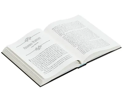 Open Books Set BLENDER 3D Model Cycles 3D model