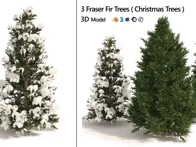 3 summer and winter Fraser Fir Christmas Trees 3D model