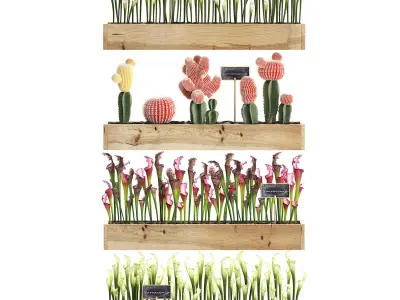 Cactus set wall decor vertical garden 44 3D model