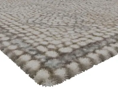 Rug Set 1540 3D model