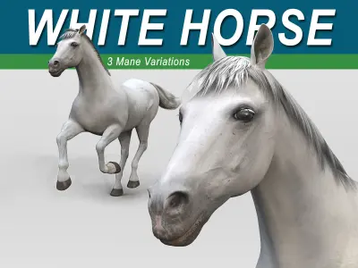 Horses 4 in 1 Bundle 3D model