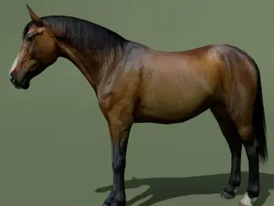 LowPoly Horses 10 colours Low-poly 3D model
