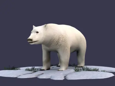 White Bear polar bear animal Ar VR animal 3D model
