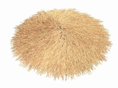 Bamboo Parasol 3D model