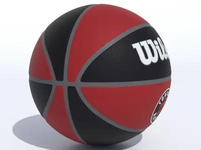 Wilson Toronto Raptors Basketball 3D model