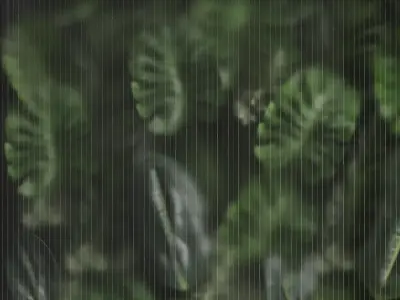 light box with tropical leaf garden in frame glass smoked 02 Low-poly 3D model