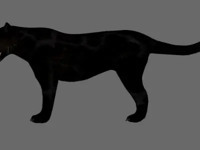 Panther black animations 3D model
