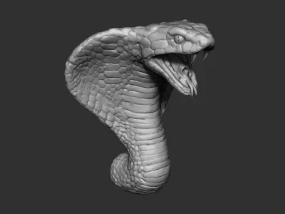 Cobra Head 3D model