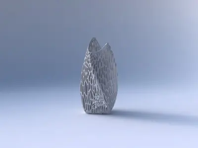 Vase twisted double arc quadratic with organic lattice and ta... 3D print model