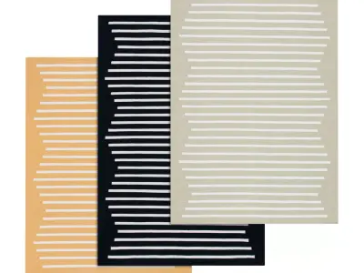 Rug Set 2103 3D model