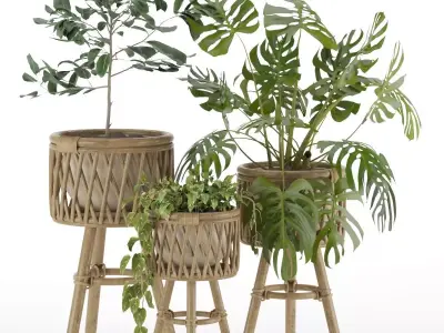 Plant-set-002 3D model