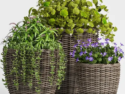 Decorative plant set-45 3D model