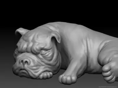 Bull dog   Low-poly 3D model