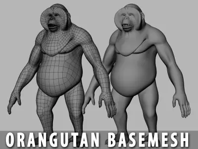 Orangutan BaseMesh Low-poly 3D model
